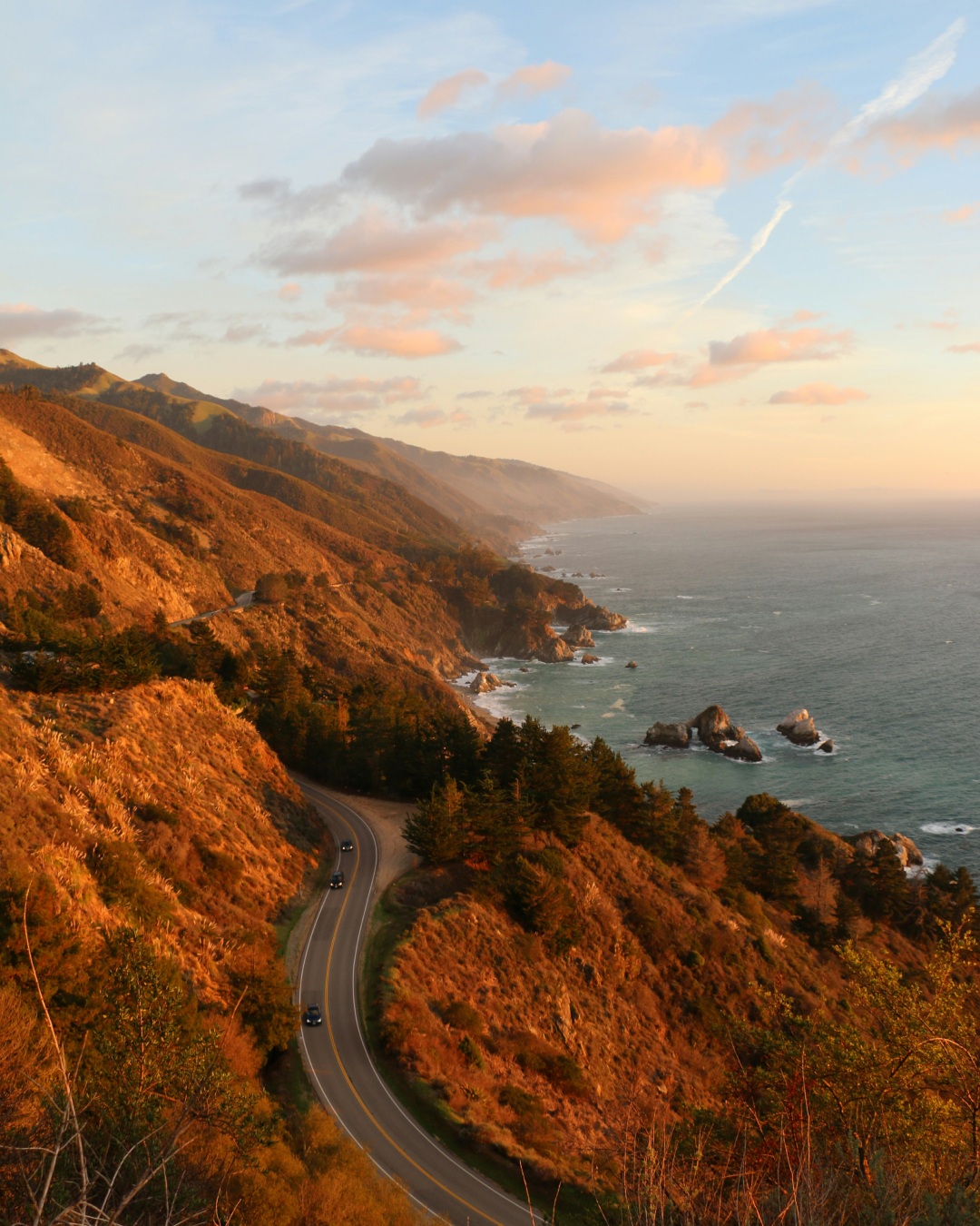 California landscape 2