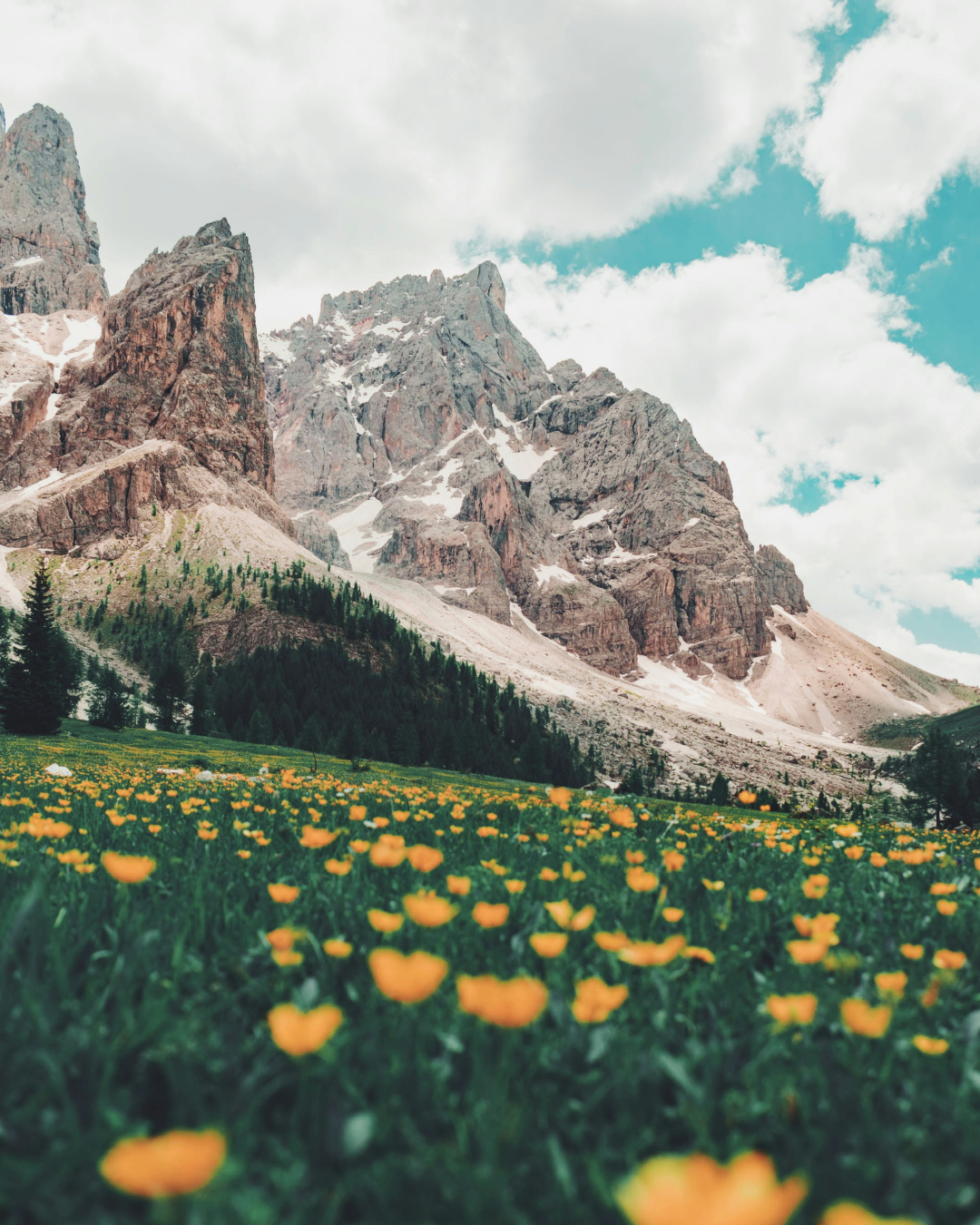 California landscape 6